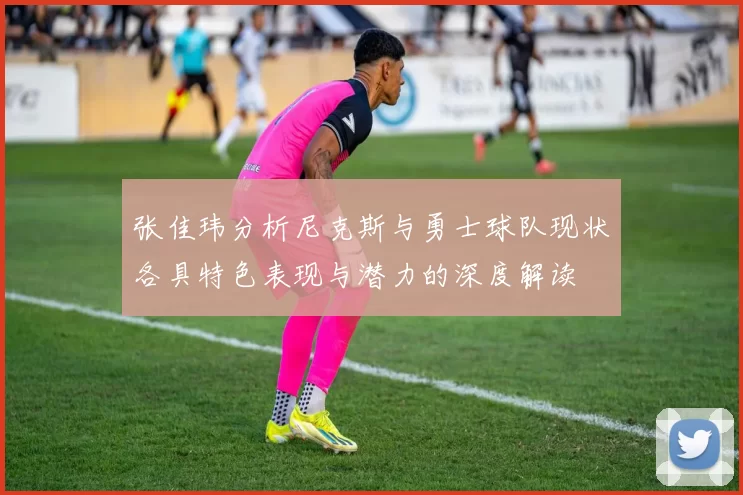 张佳玮分析尼克斯与勇士球队现状各具特色表现与潜力的深度解读