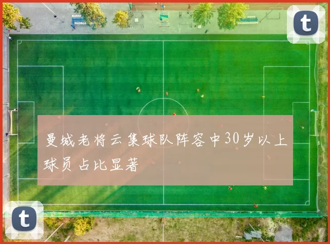 曼城老将云集球队阵容中30岁以上球员占比显著
