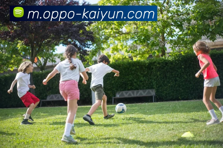 开云体育平台生态图