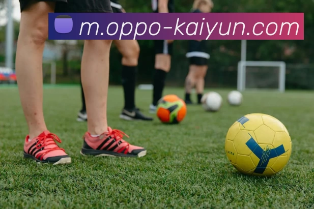 开云体育APP 封面图